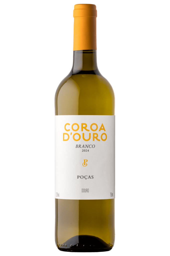 Coroa d’Ouro Branco 2024